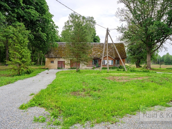 Rapla maakond, Rapla vald, Orguse küla,