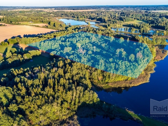 Võru maakond, Antsla vald, Antsu küla, Lättemäe-Anna