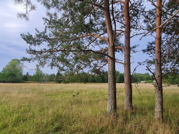 Hiiu maakond, Hiiumaa vald, Mägipe küla, Tengi
