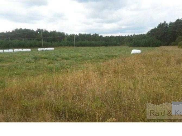 Saare maakond, Saaremaa vald, Laugu küla, Ääre