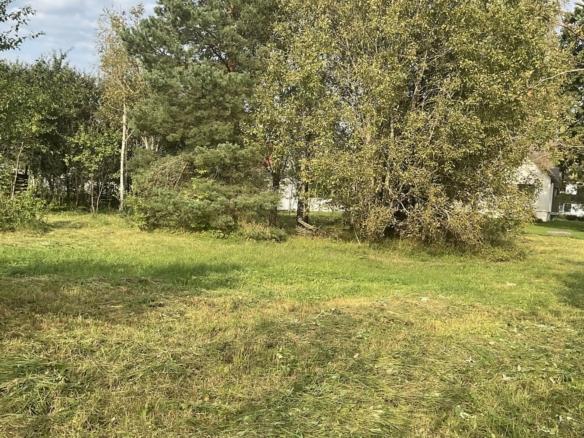 Rapla maakond Märjamaa vald Märjamaa alev Kesa 12