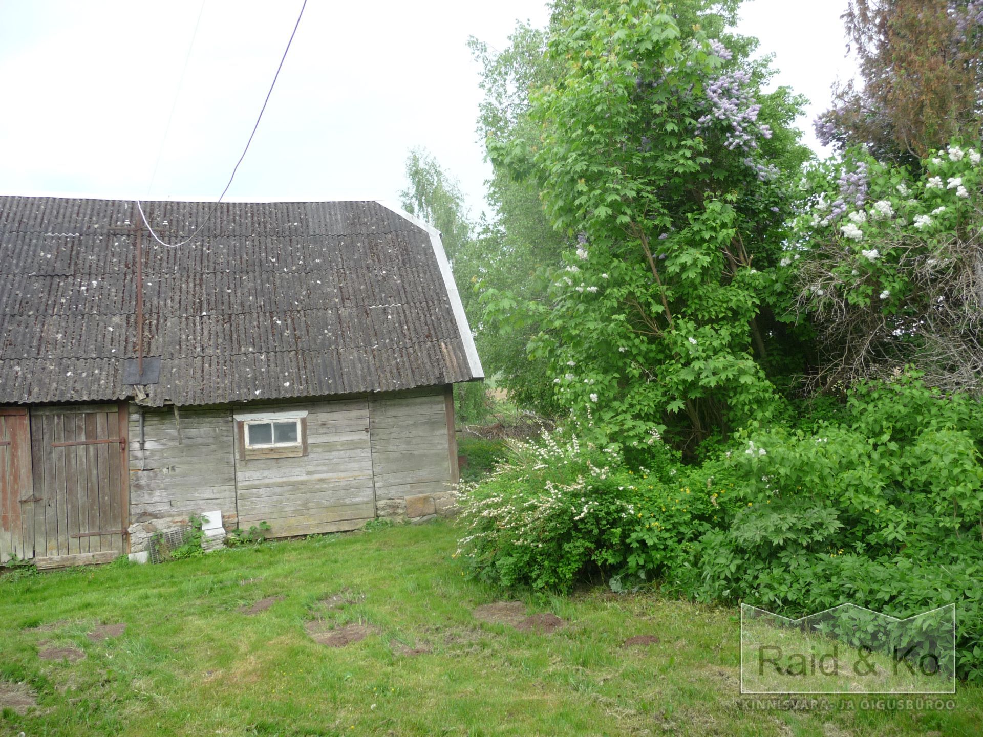 6a2138360addedc393cec91c8a7ed60fa382c9864c742.jpg Järva maakond, Järva vald, Järva-Madise küla,