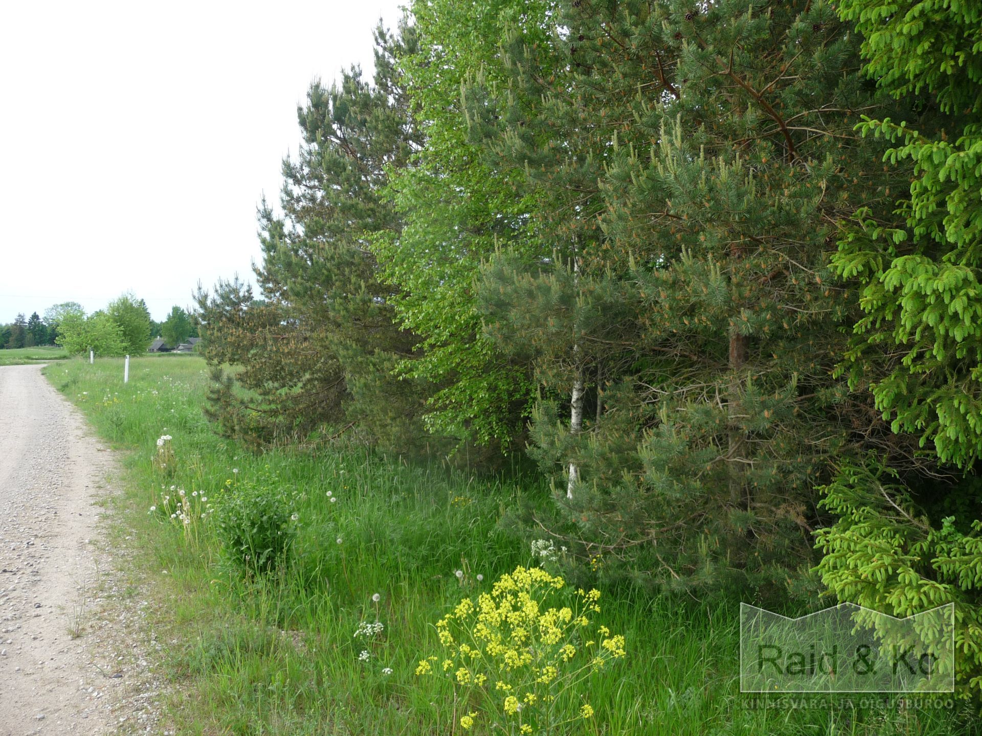 6a21383638b0fe292c8abcdb1a04a8a5c70f710137fb6.jpg Järva maakond, Järva vald, Järva-Madise küla,