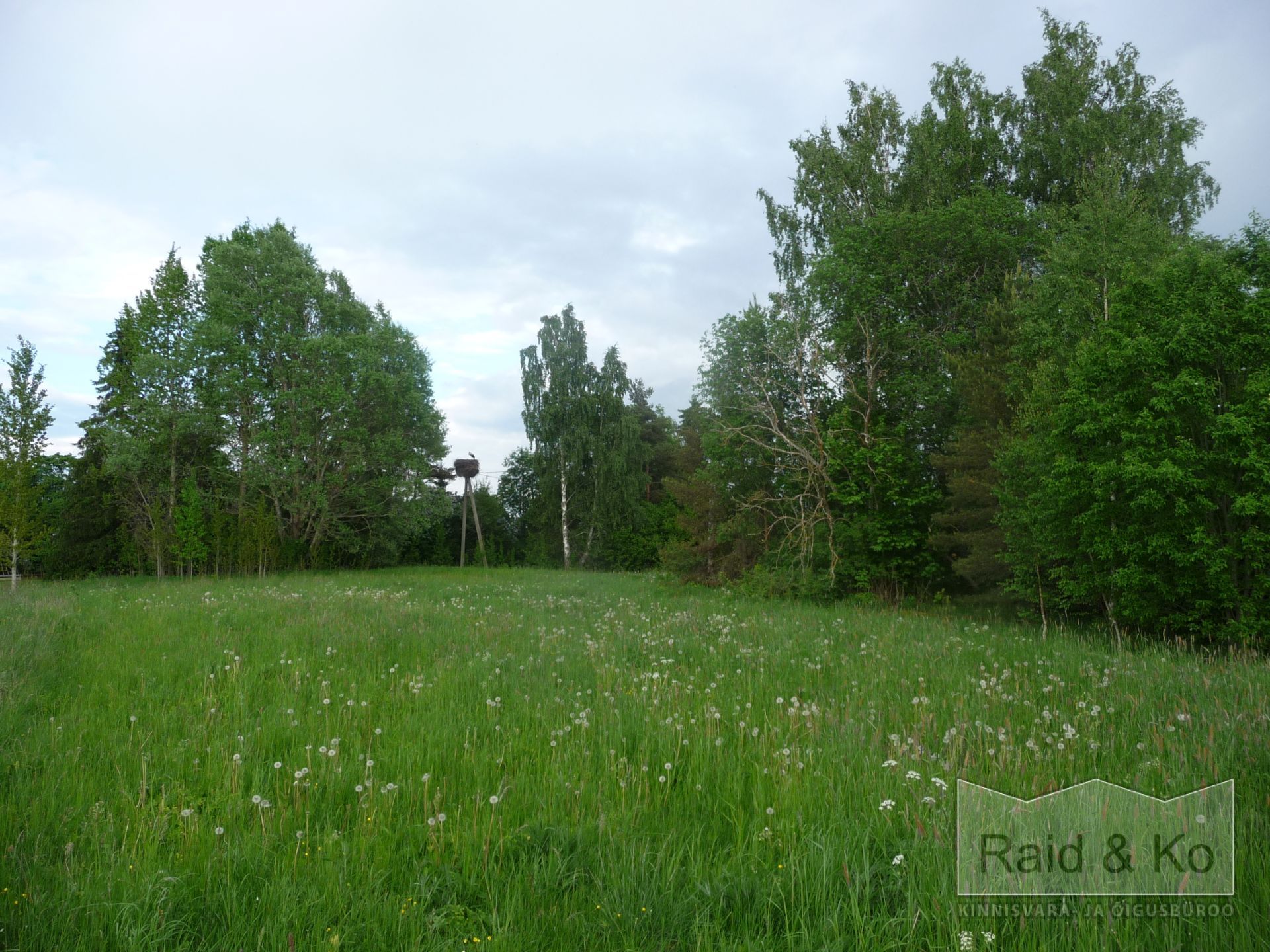 6a213838d42ae07d61af82a3e91555b5f3c78d630f391.jpg Järva maakond, Järva vald, Järva-Madise küla,
