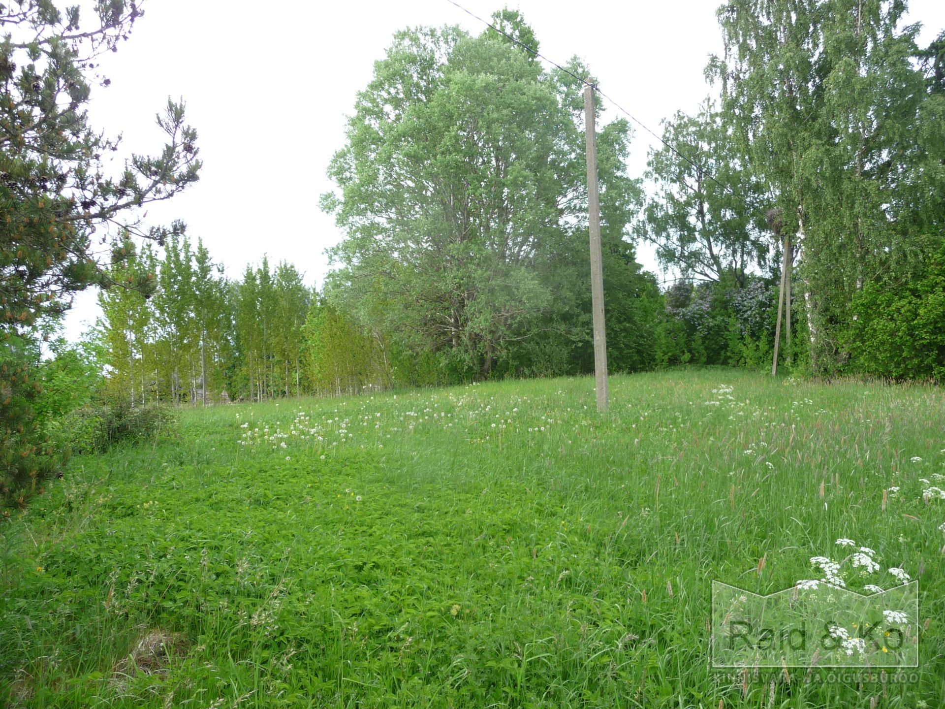6a213838dc6386f51684a13bfff379c34ec7f4bc54e9f.jpg Järva maakond, Järva vald, Järva-Madise küla,