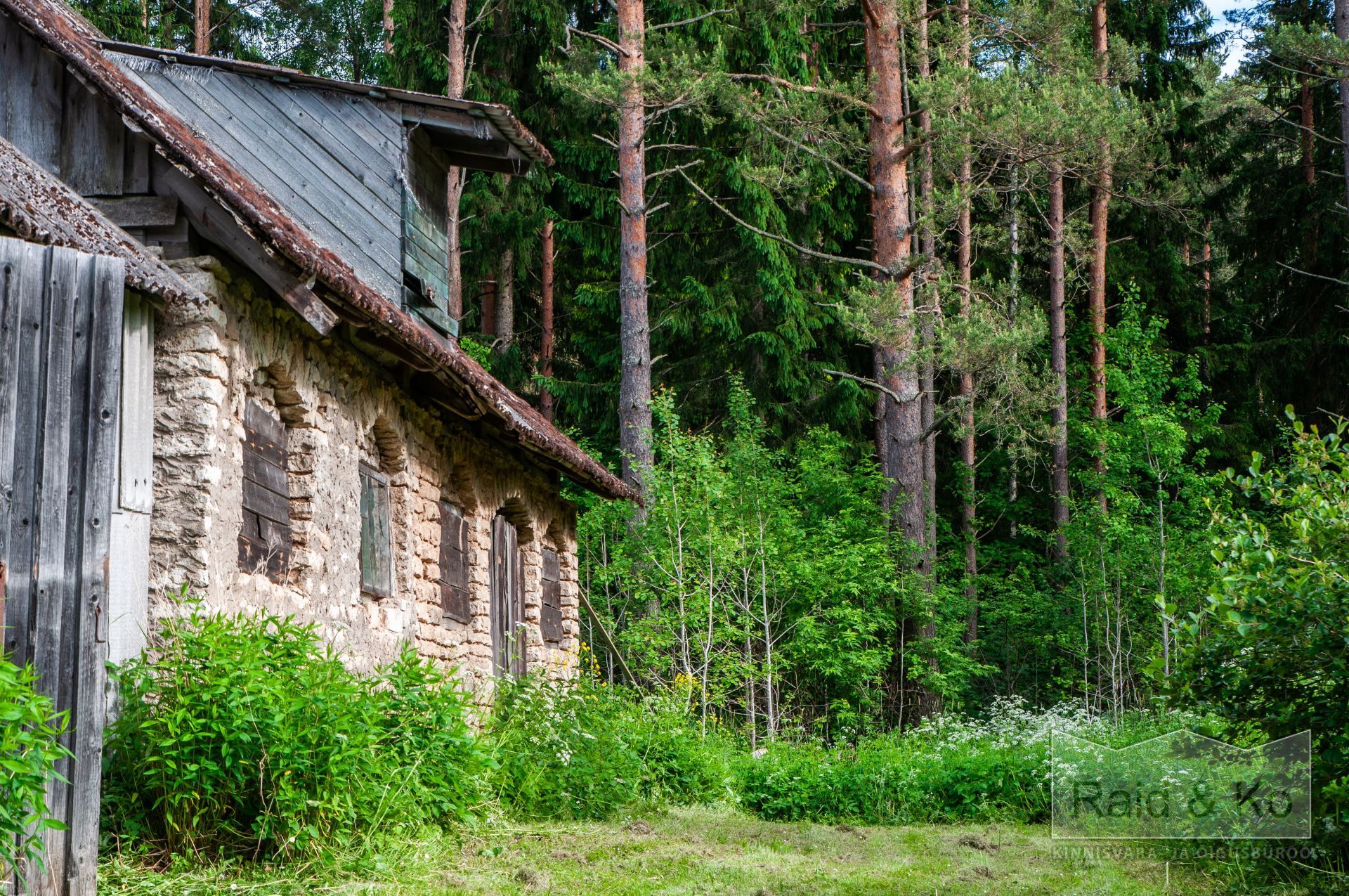 6a35689cc10a95e8818f833a98ebd4bb6638286c1fdbf.jpg Lääne-Viru maakond, Viru-Nigula vald, Varudi küla, Ojametsa