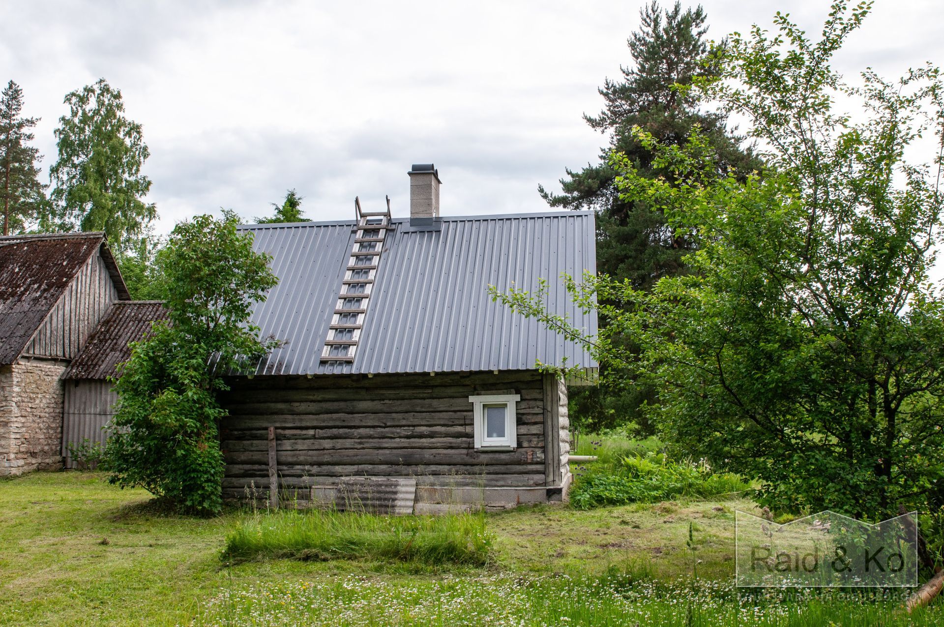 6a3568a1416c0aebd188764bf48671c3d247acef4ff3e.jpg Lääne-Viru maakond, Viru-Nigula vald, Varudi küla, Ojametsa