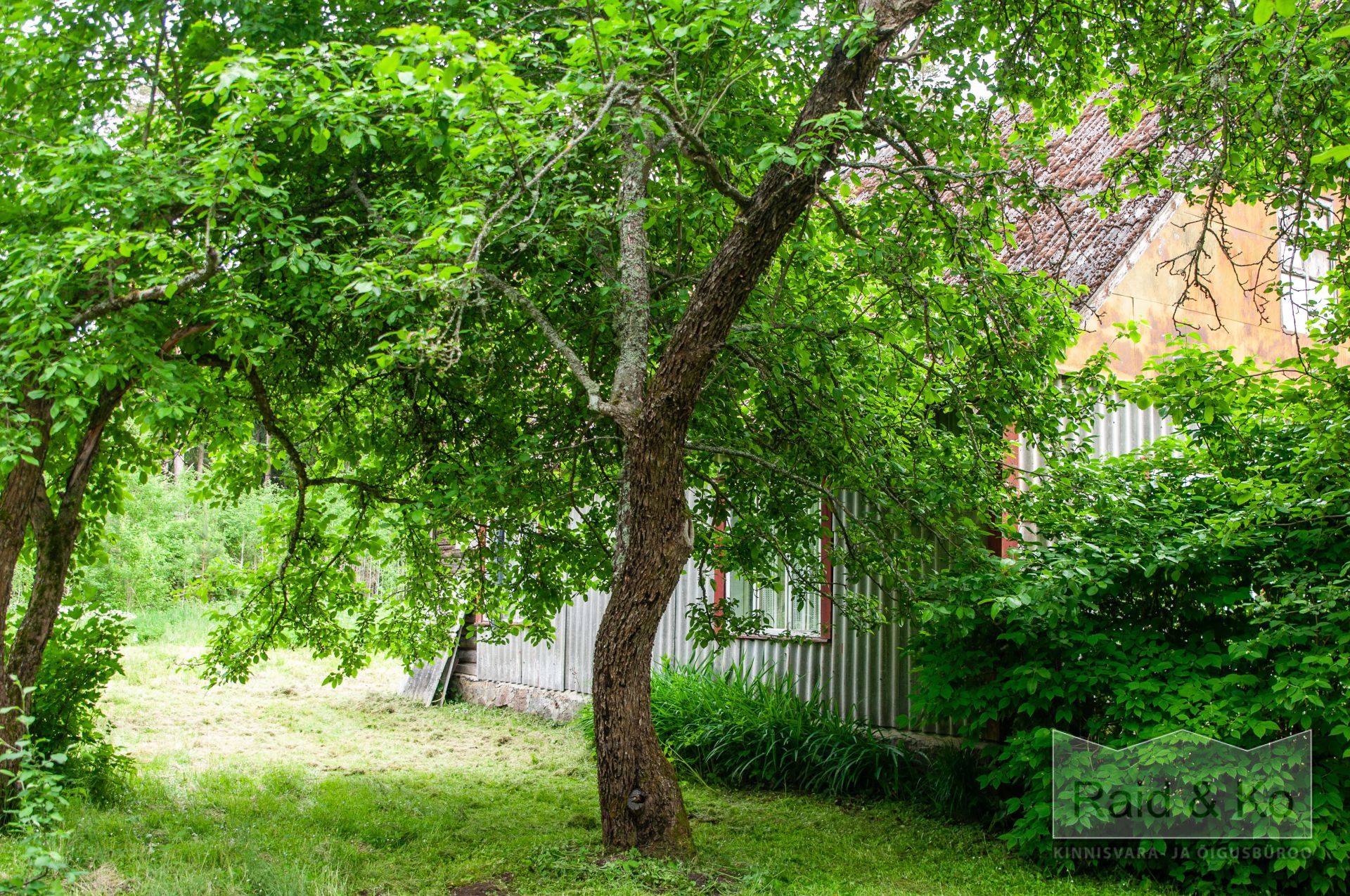 6a3568a2a0129cf47faa2ffa1ed2665f9c2d08a54f0ef.jpg Lääne-Viru maakond, Viru-Nigula vald, Varudi küla, Ojametsa