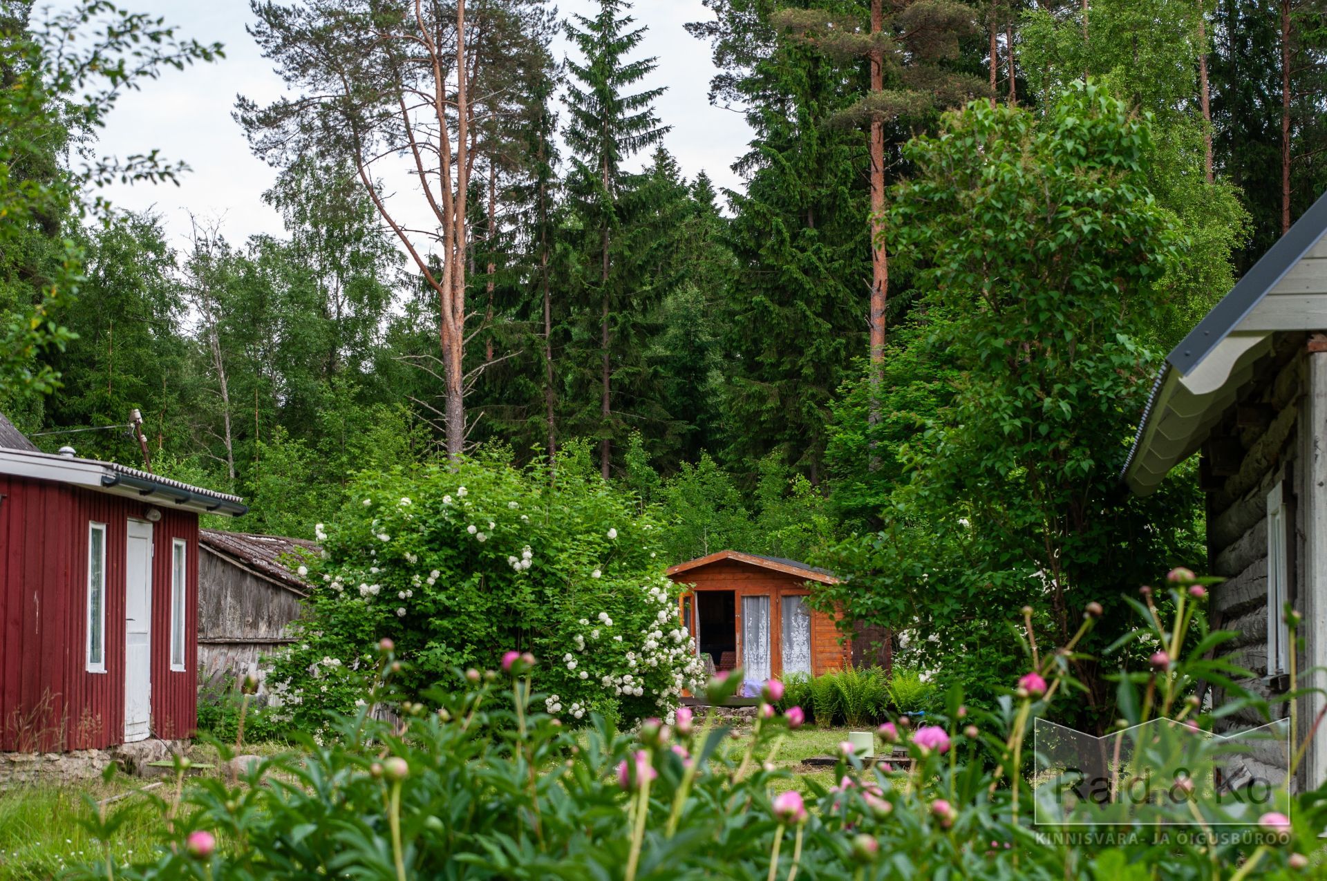 6a3568a5b417dc18b6f39f0fa29d72cd2556af9272c1a.jpg Lääne-Viru maakond, Viru-Nigula vald, Varudi küla, Ojametsa