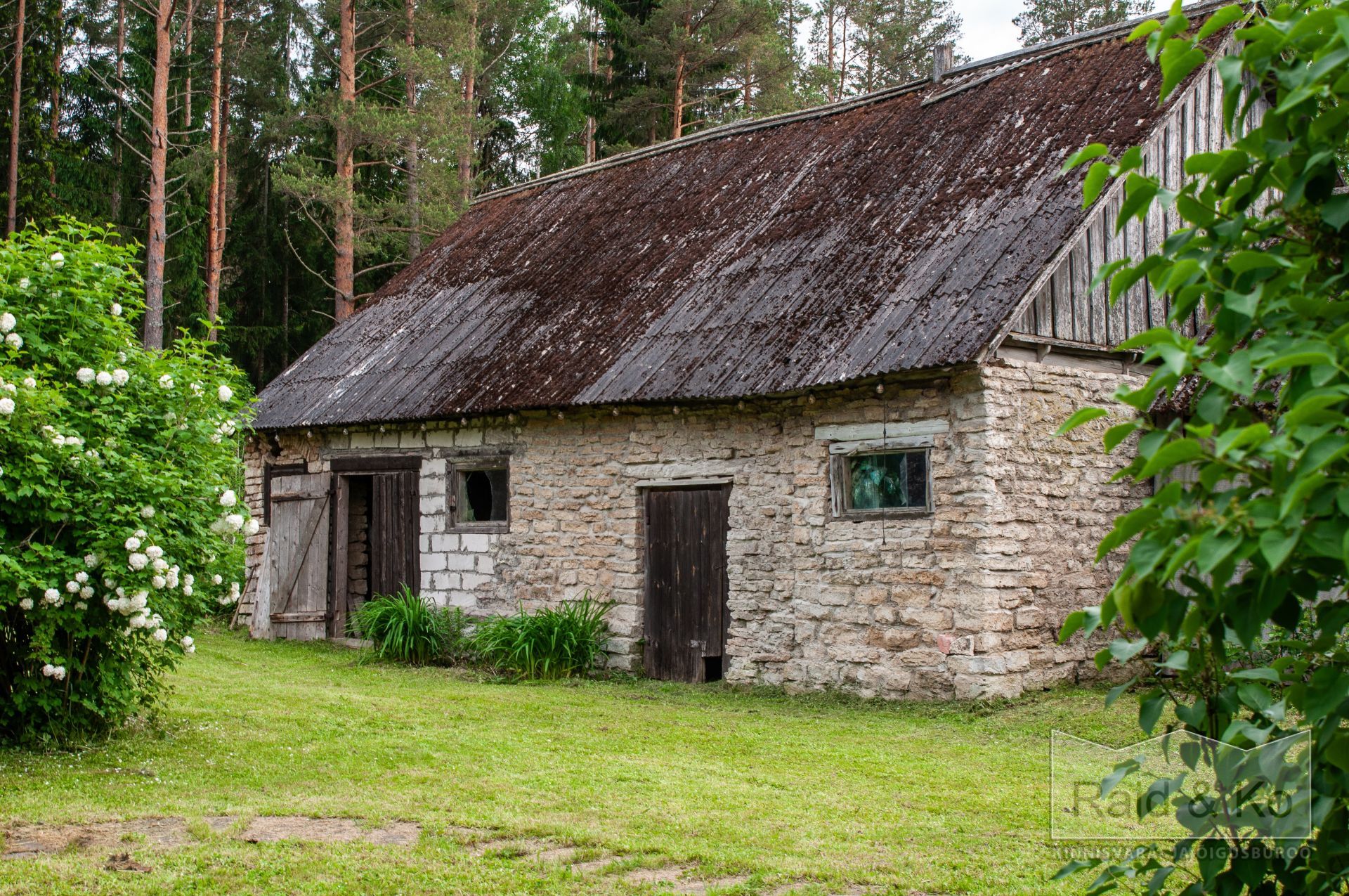 6a3568a731851009edae377f8526350e33098c4e0748e.jpg Lääne-Viru maakond, Viru-Nigula vald, Varudi küla, Ojametsa