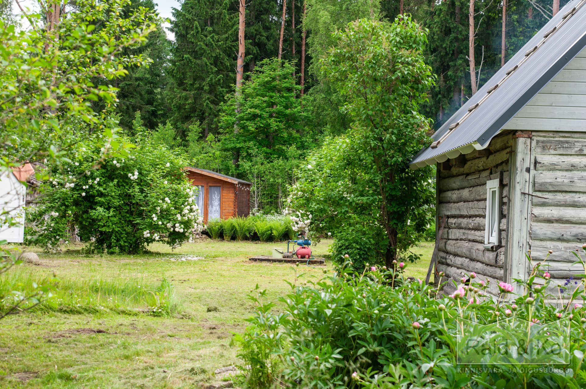 6a3568ab2f08014a9ecd48c6a4c640ac41292e2c0bd3c.jpg Lääne-Viru maakond, Viru-Nigula vald, Varudi küla, Ojametsa