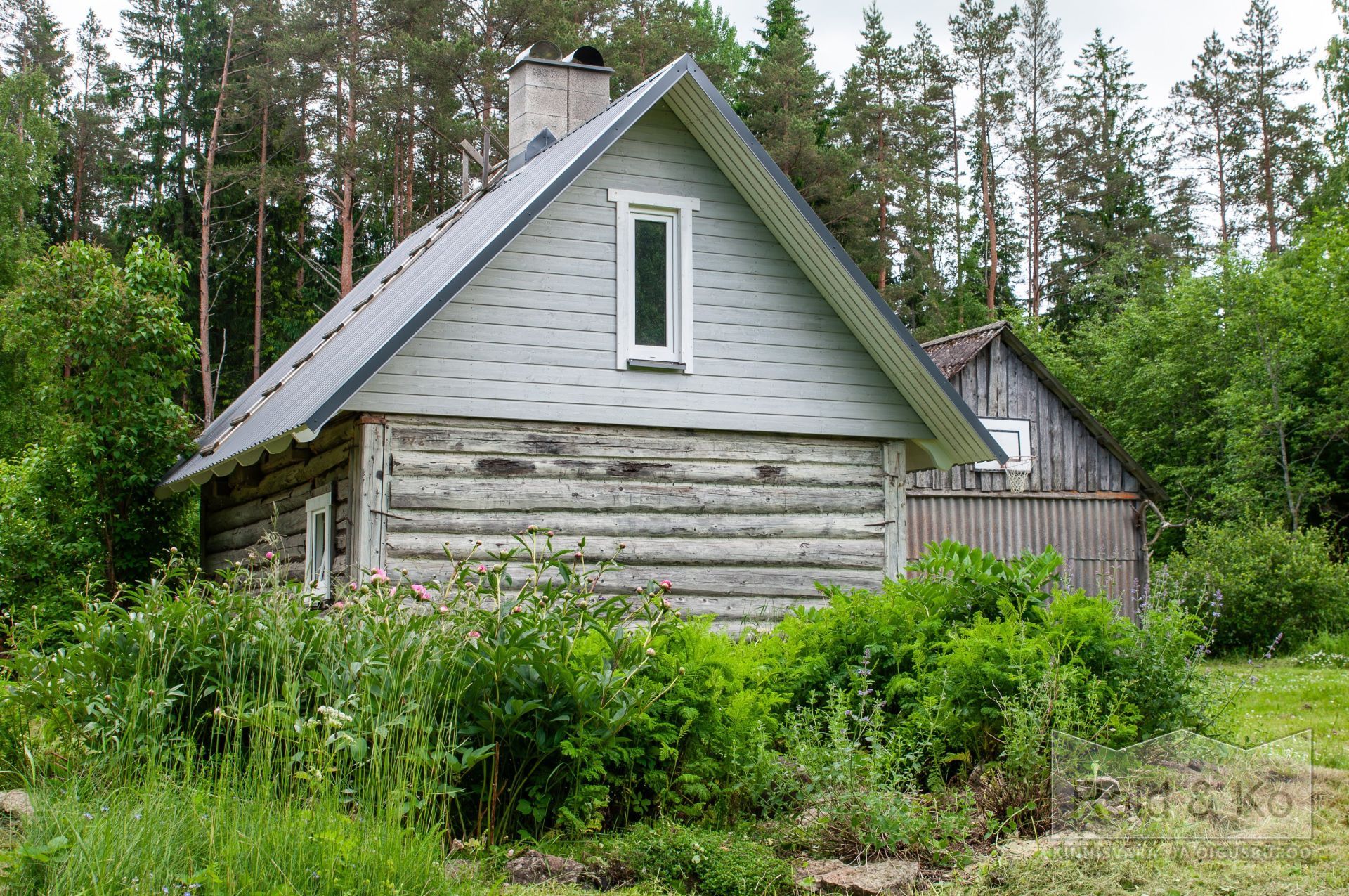 6a3568ae2a33e4979dd121ce47ef231002fab6c972d48.jpg Lääne-Viru maakond, Viru-Nigula vald, Varudi küla, Ojametsa