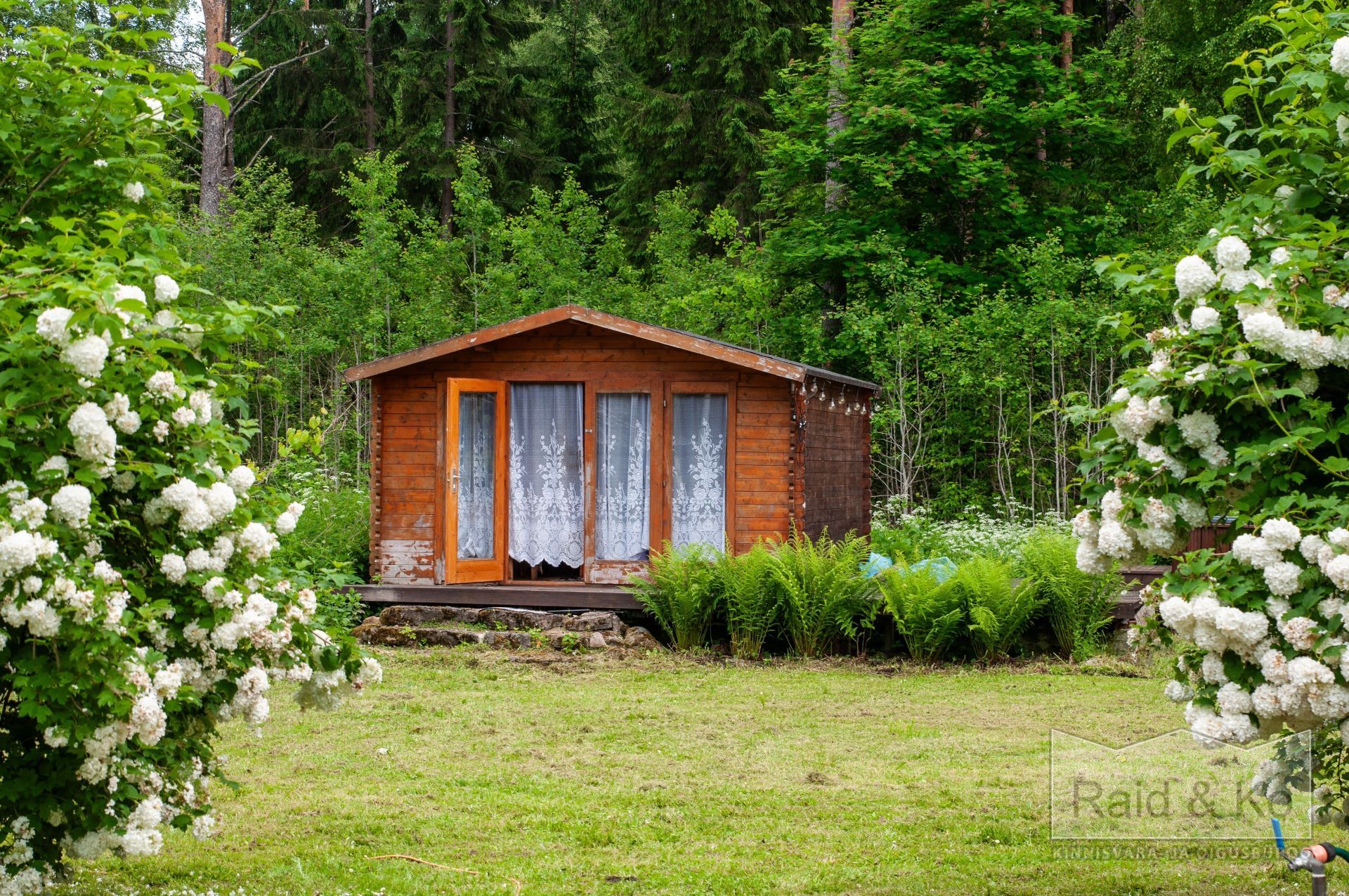 6a3568b43690399a371013b396ed57f7310997b88f5ef.jpg Lääne-Viru maakond, Viru-Nigula vald, Varudi küla, Ojametsa