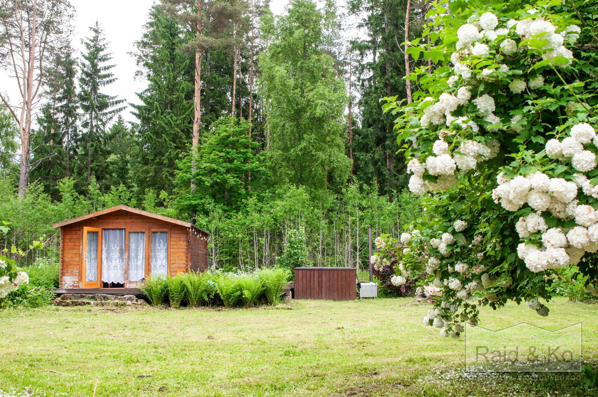 6a3568b7276f305033da8d2b0f83c7420e132bcc46c7e.jpg Lääne-Viru maakond, Viru-Nigula vald, Varudi küla, Ojametsa