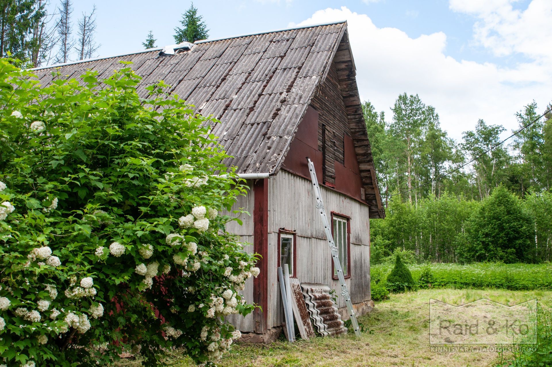 6a3568b8a6075285640d411977dfd0d8967274bb84a65.jpg Lääne-Viru maakond, Viru-Nigula vald, Varudi küla, Ojametsa