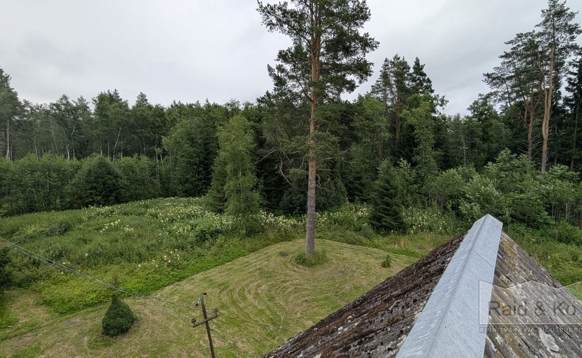 Lääne-Viru maakond, Viru-Nigula vald, Varudi küla, Ojametsa