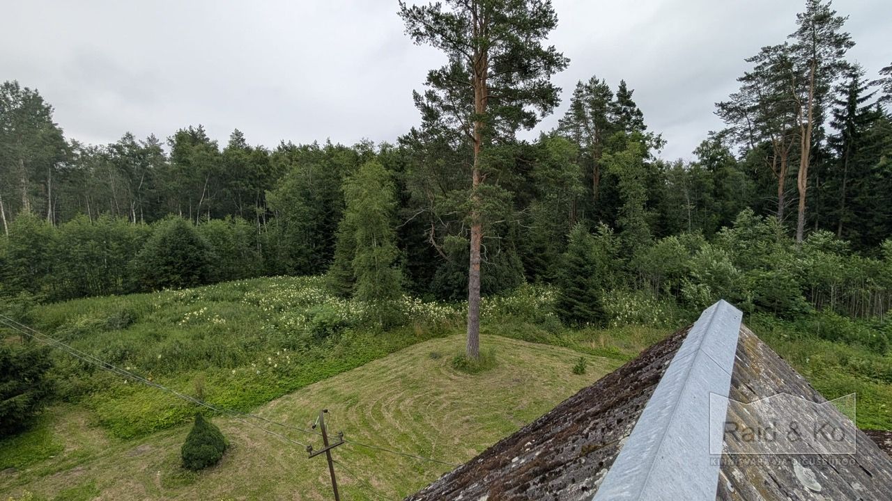 Lääne-Viru maakond, Viru-Nigula vald, Varudi küla, Ojametsa