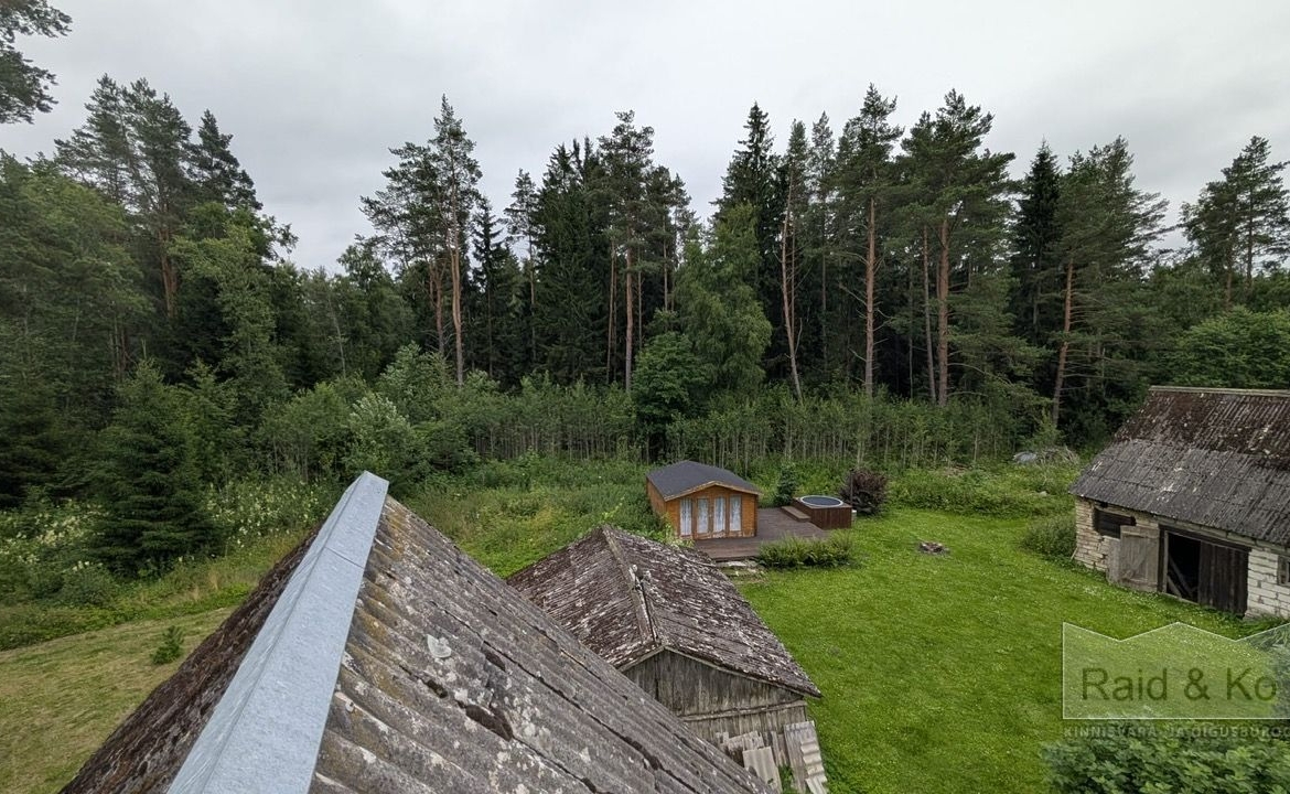 Lääne-Viru maakond, Viru-Nigula vald, Varudi küla, Ojametsa