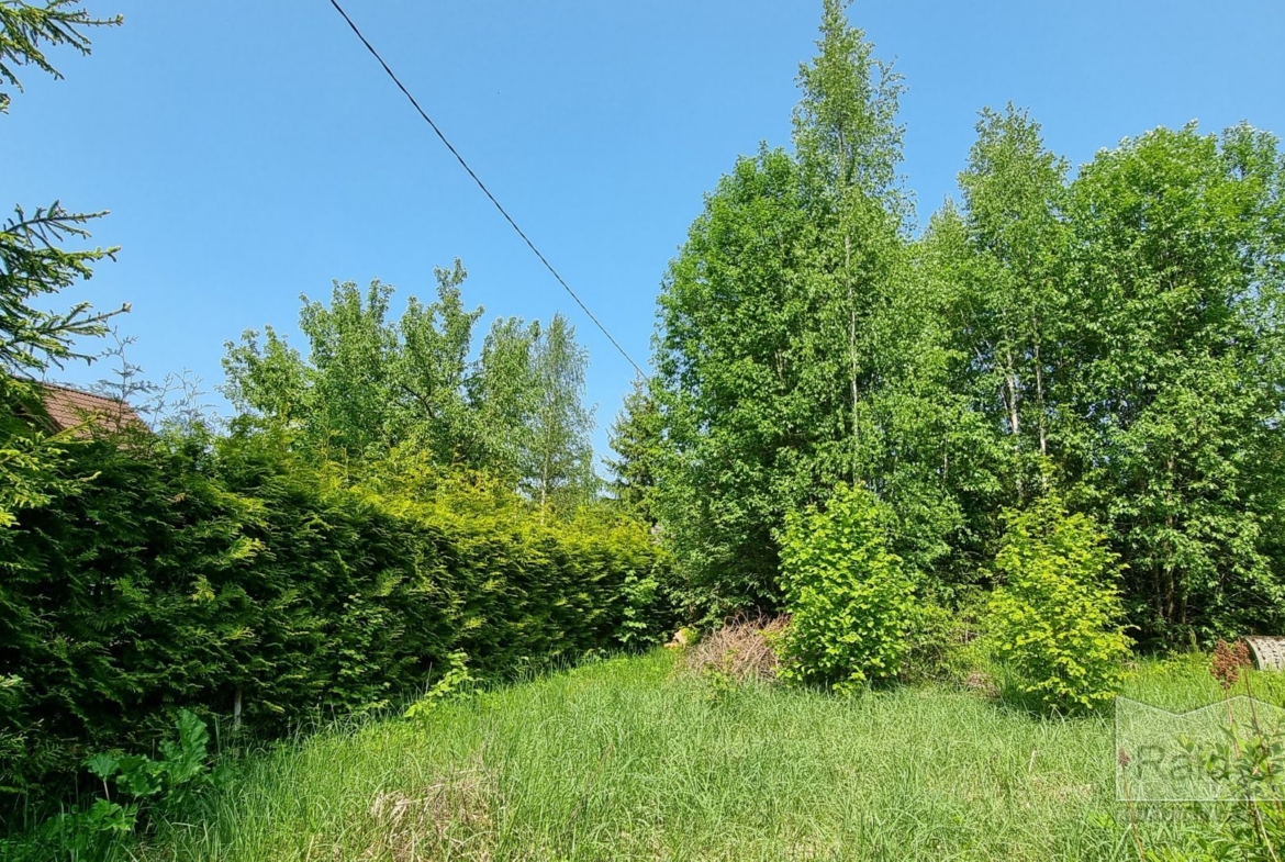 Harju maakond, Saue vald, Laitse küla, Metsa AÜ 11