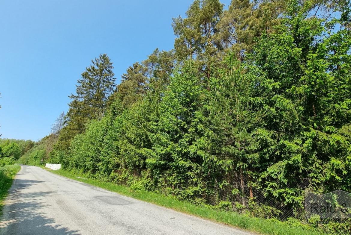 Harju maakond, Saue vald, Laitse küla, Metsa AÜ 11