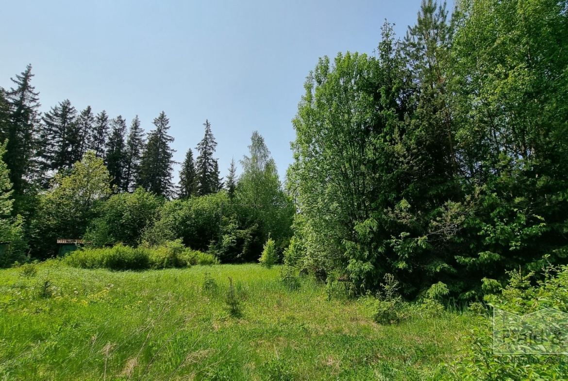 Harju maakond, Saue vald, Laitse küla, Metsa AÜ 11