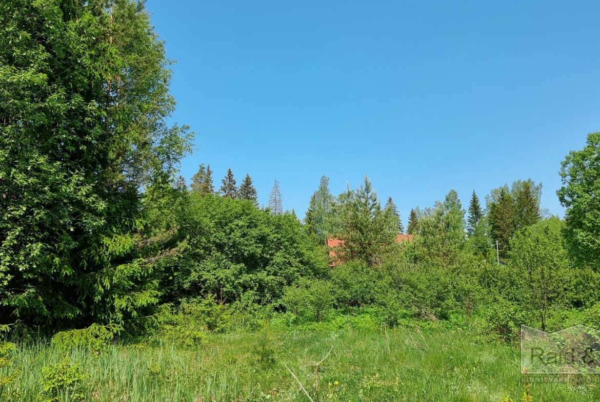 Harju maakond, Saue vald, Laitse küla, Metsa AÜ 11