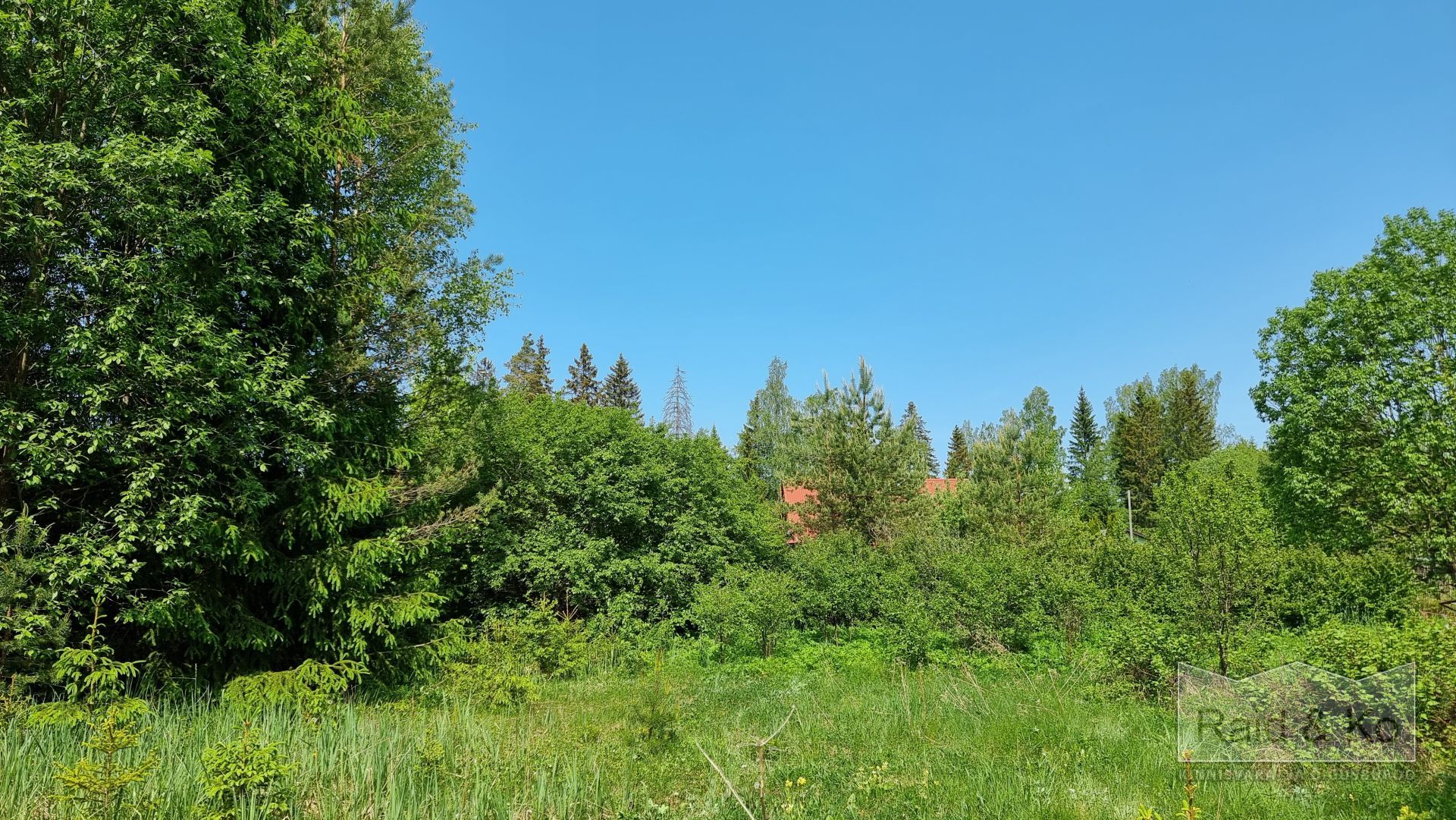 Harju maakond, Saue vald, Laitse küla, Metsa AÜ 11