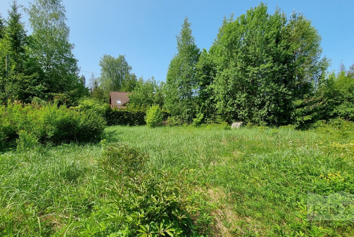 Harju maakond, Saue vald, Laitse küla, Metsa AÜ 11