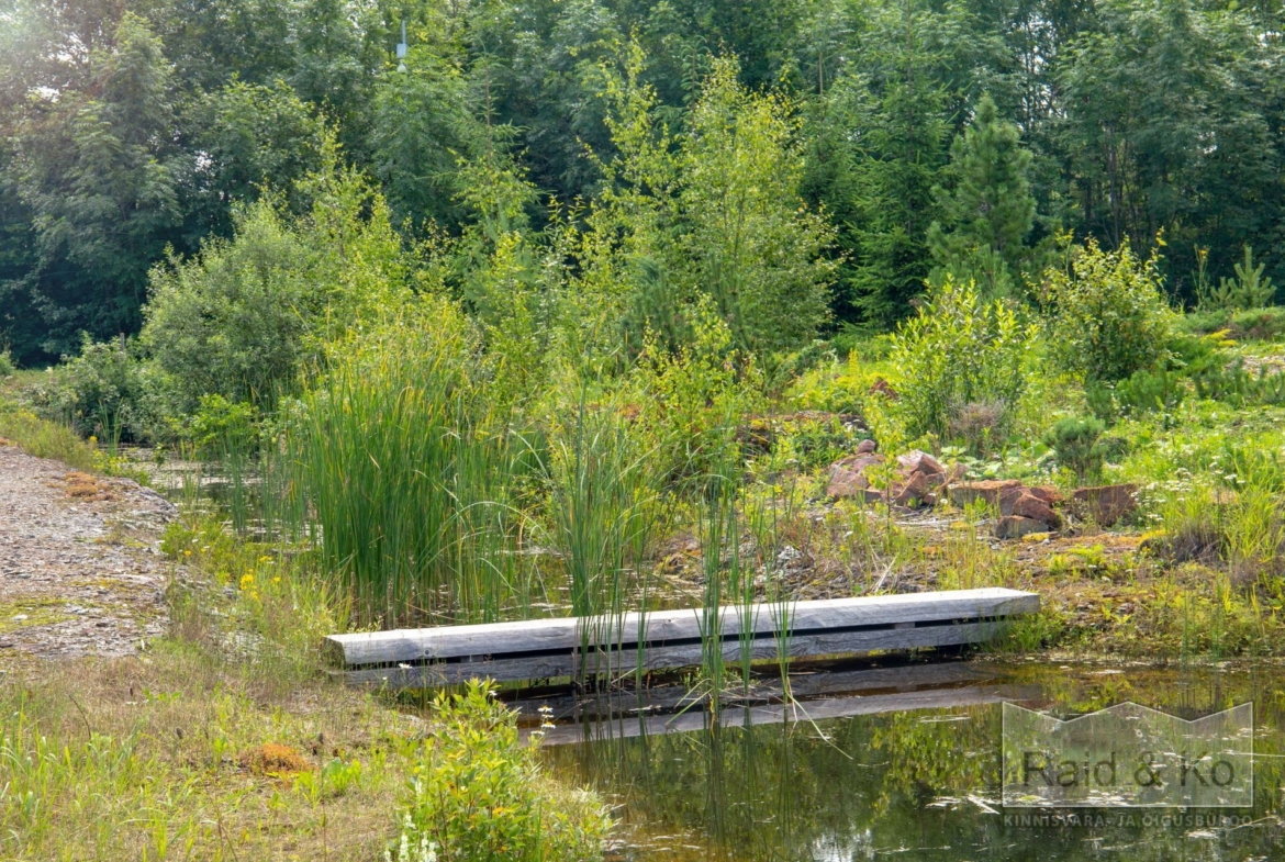 Harju maakond, Saue vald, Püha küla, Kurvi tee 28