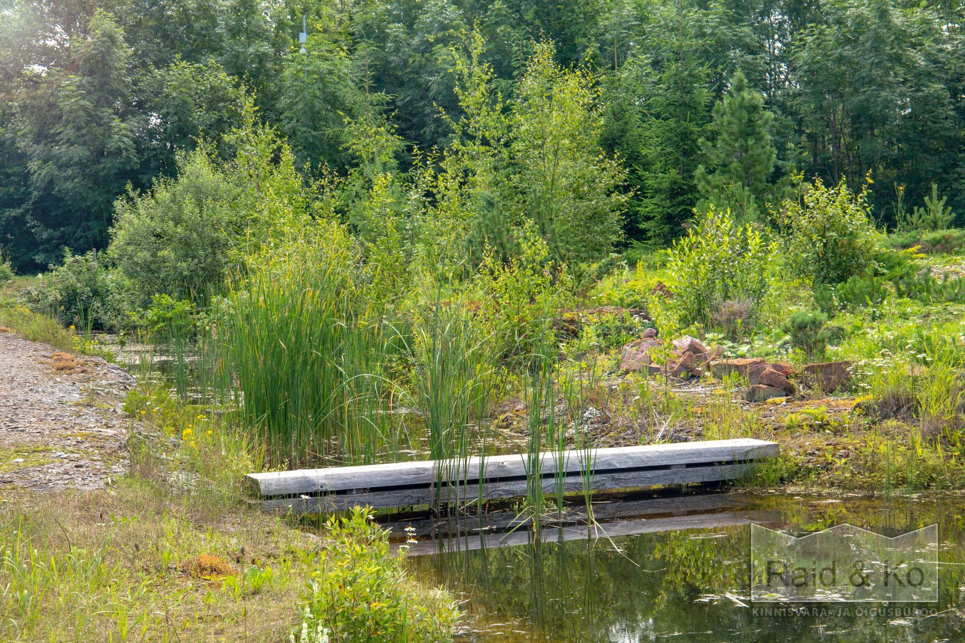 6a5b4132b8758151f87867afac20b2436a4911a544acb.jpg Harju maakond, Saue vald, Püha küla, Kurvi tee 28