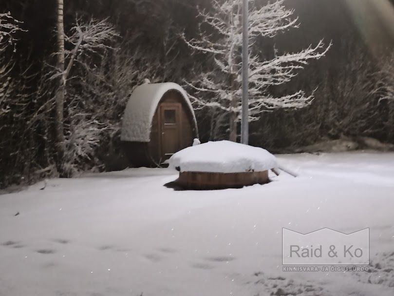 Harju maakond, Saue vald, Püha küla, Kurvi tee 28