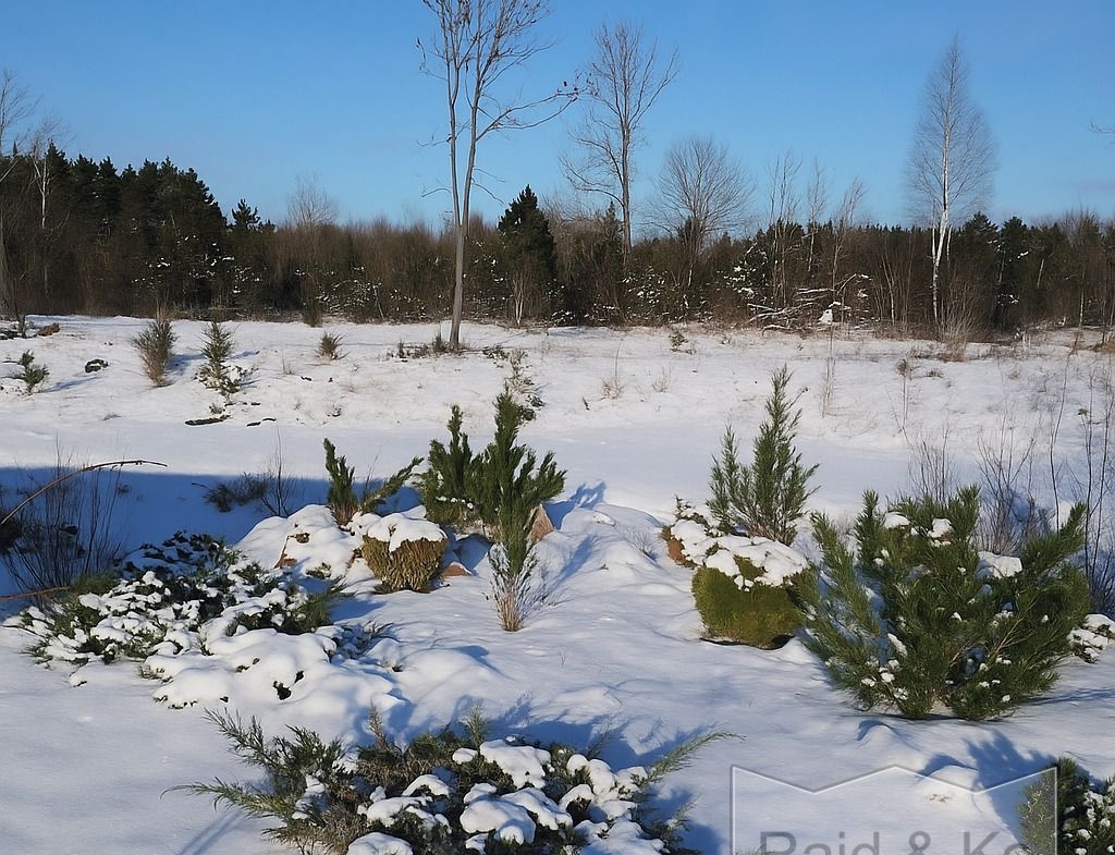 Harju maakond, Saue vald, Püha küla, Kurvi tee 28
