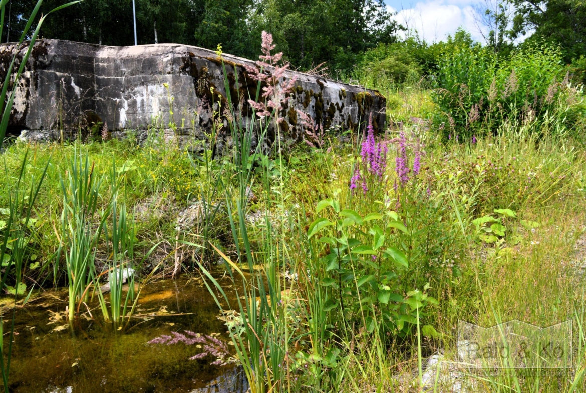 Harju maakond, Saue vald, Püha küla, Kurvi tee 28