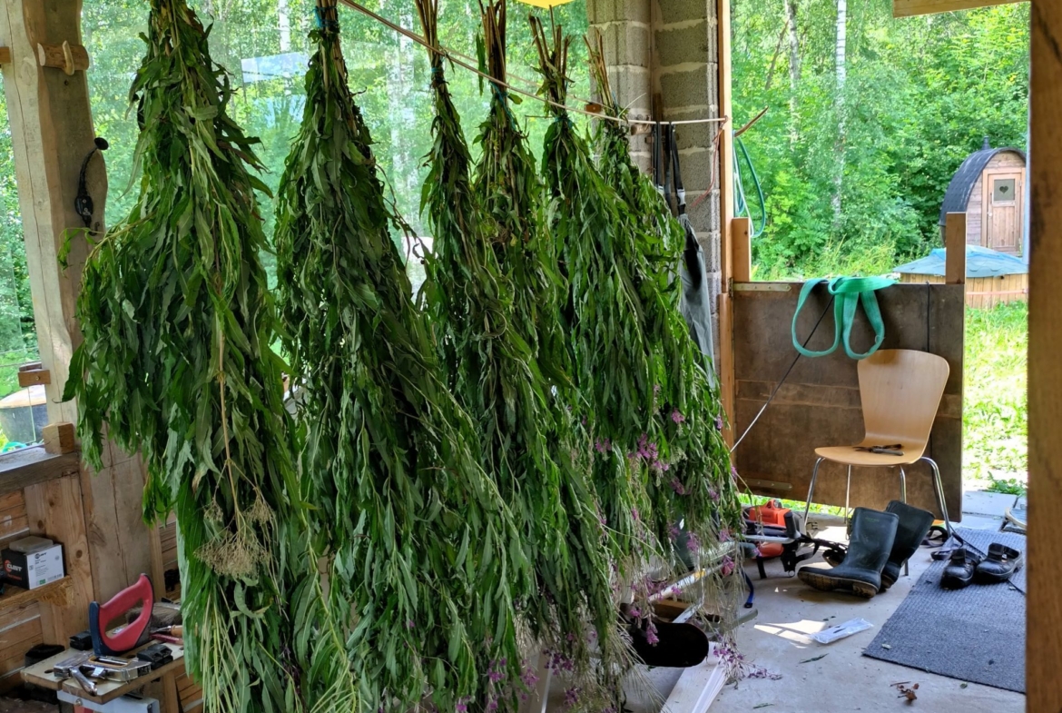 Harju maakond, Saue vald, Püha küla, Kurvi tee 28