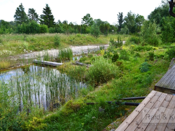 Harju maakond, Saue vald, Püha küla, Kurvi tee 28