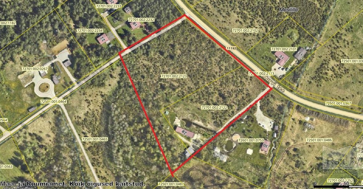 Harju maakond, Saue vald, Püha küla, Kurvi tee 28
