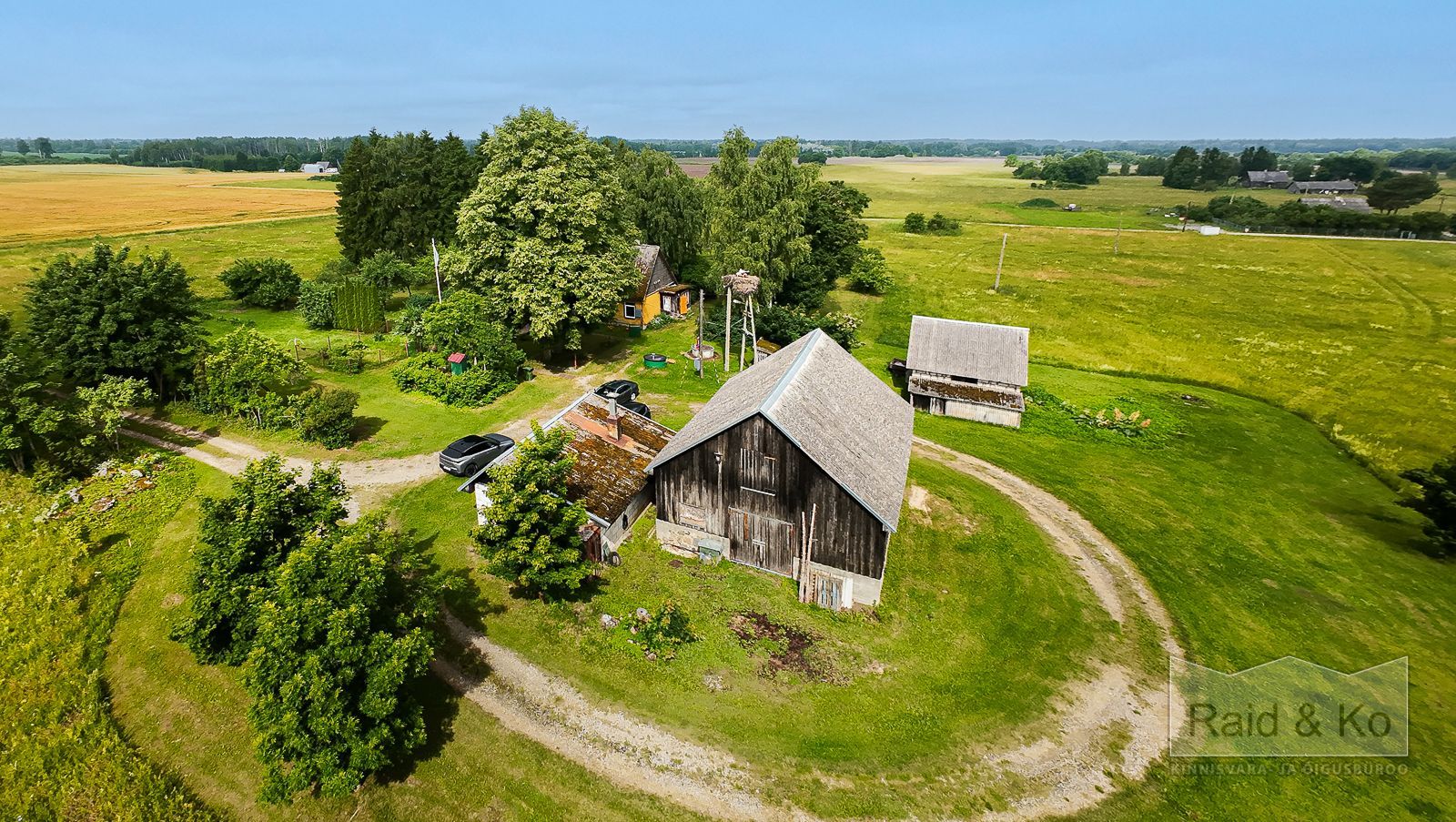 6a63b238bf0f31666c0392ab67f0d3270d5dc756fbd0f.jpg Harju maakond, Anija vald, Arava küla, Lille