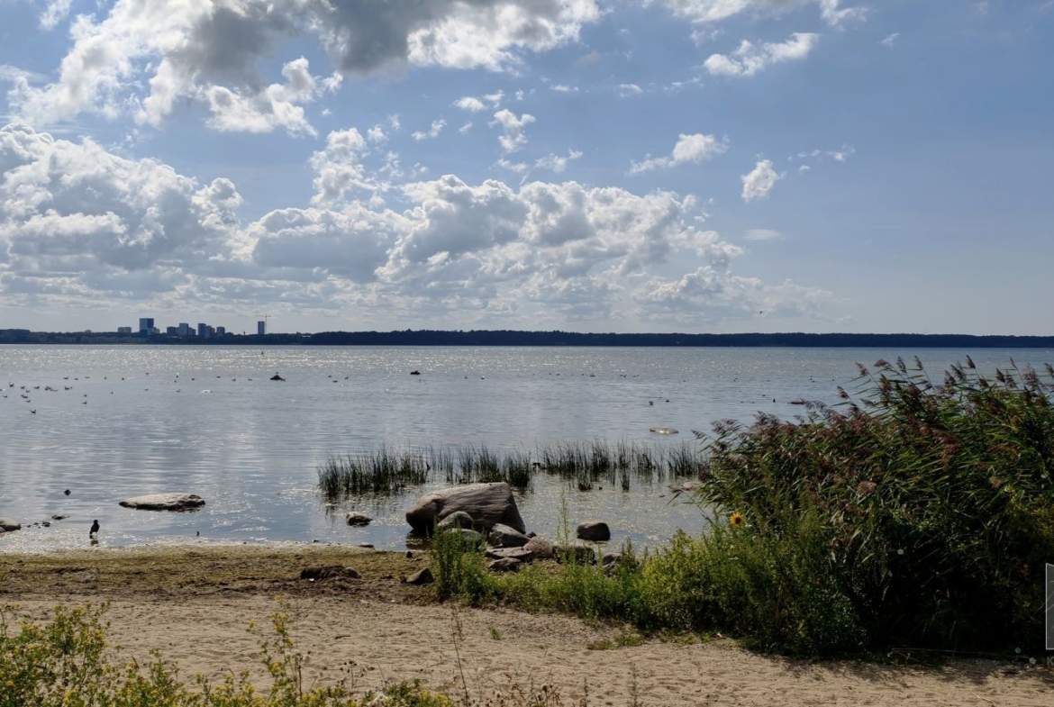 Harju maakond, Tallinn, Põhja-Tallinna linnaosa, Pelguranna 23