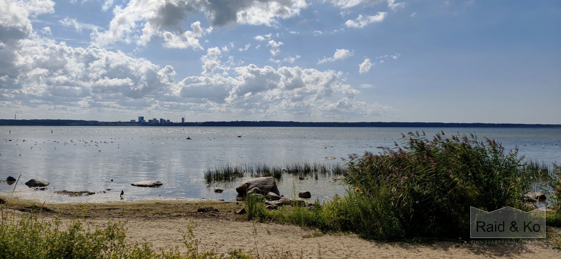 Harju maakond, Tallinn, Põhja-Tallinna linnaosa, Pelguranna 23