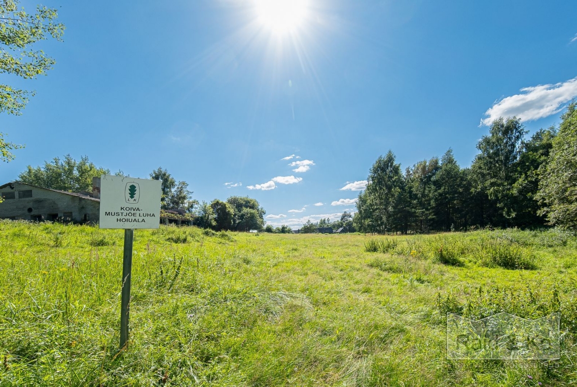 Valga maakond, Valga vald, Laanemetsa küla, Putka