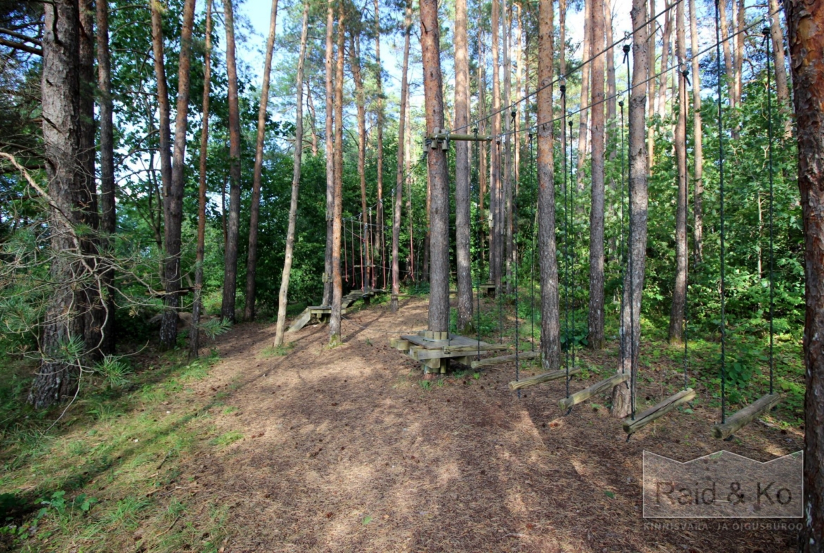 Rapla maakond, Rapla vald, Pirgu küla, Roheline tee