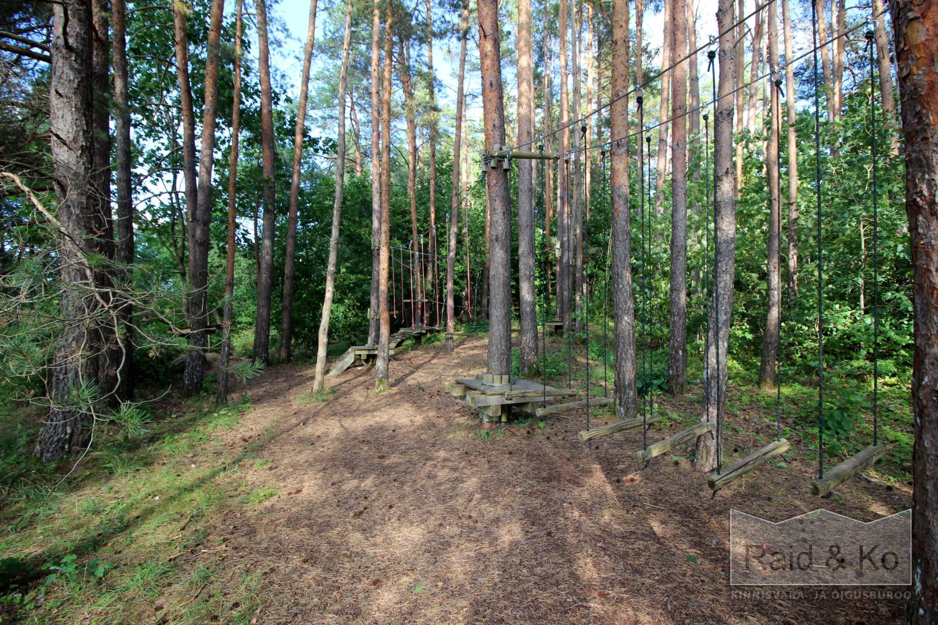 Rapla maakond, Rapla vald, Pirgu küla, Roheline tee