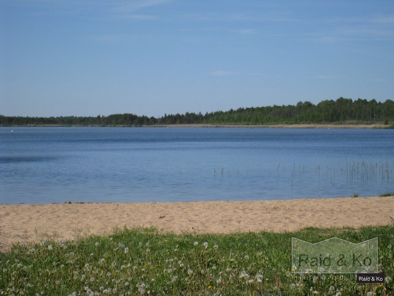 Harju maakond, Lääne-Harju vald, Klooga alevik, Liiva tn 3
