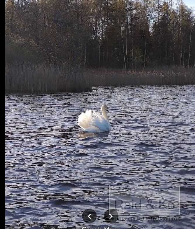 Harju maakond, Lääne-Harju vald, Klooga alevik, Liiva tn 3