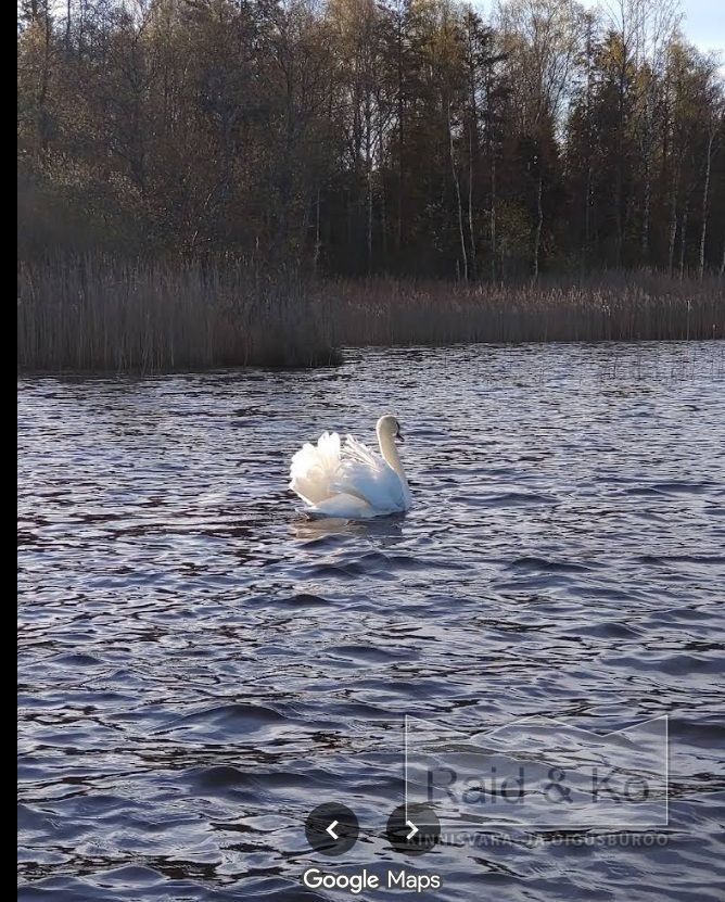 Harju maakond, Lääne-Harju vald, Klooga alevik, Liiva tn 3